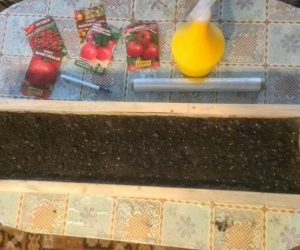 Как сажать помидоры на рассаду. Простой способ посадки